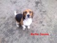/album/rodicia/matka-jessina-2-jpg/